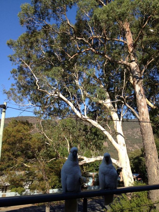 Glengarriff Townhouse 3 Villa Halls Gap Exteriör bild